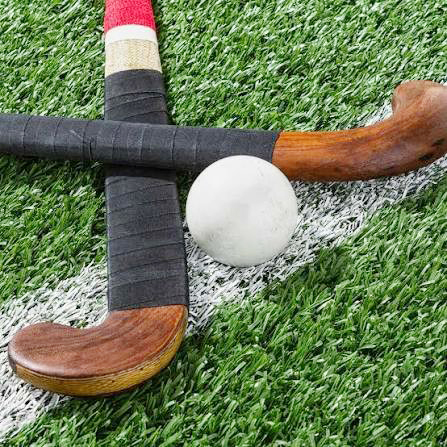 Hockey Sticks