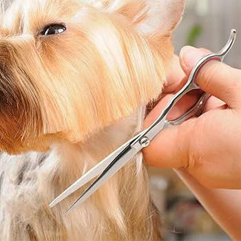 Pet Grooming Scissors