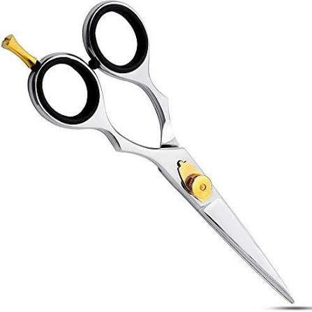 Silver Scissors