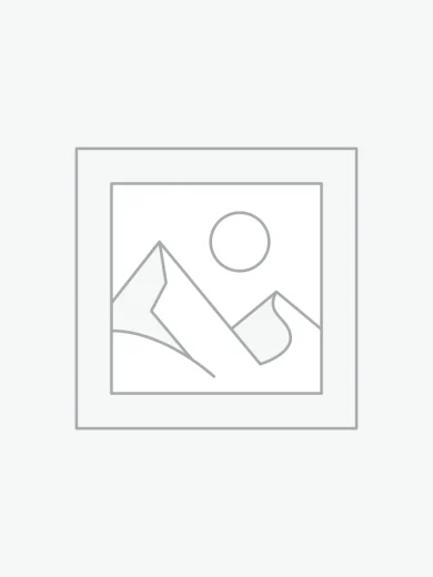 Professional Hair Scissors